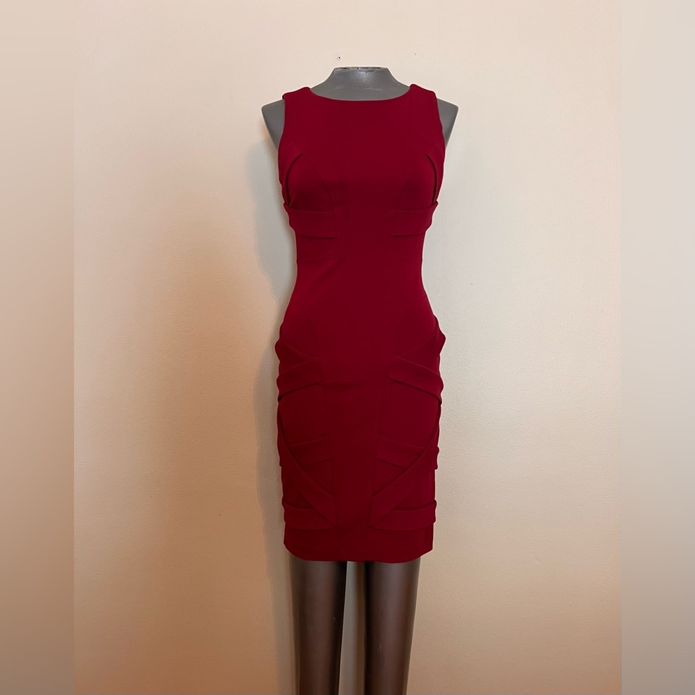 Cynthia Steffe Size 2 Maroon Knit Dress